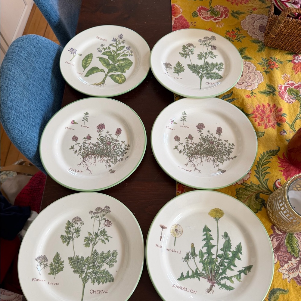 Williams Sonoma Botanical Herb salad Plates Set 6 classic preppy old money